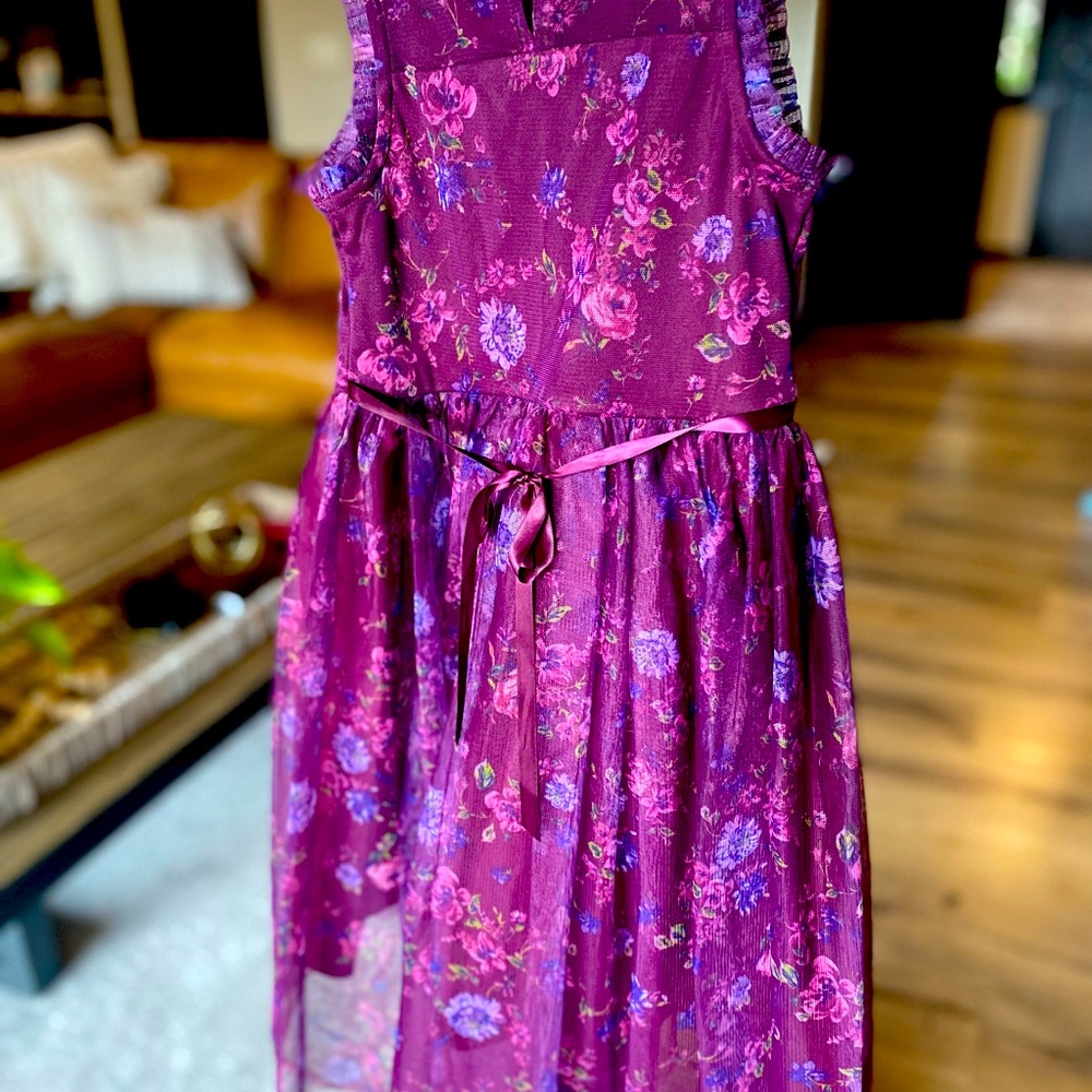 Cute holiday dress in great condition.